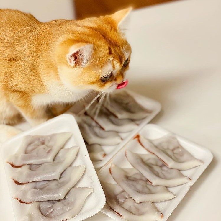 hot girl Han Quoc anh 10