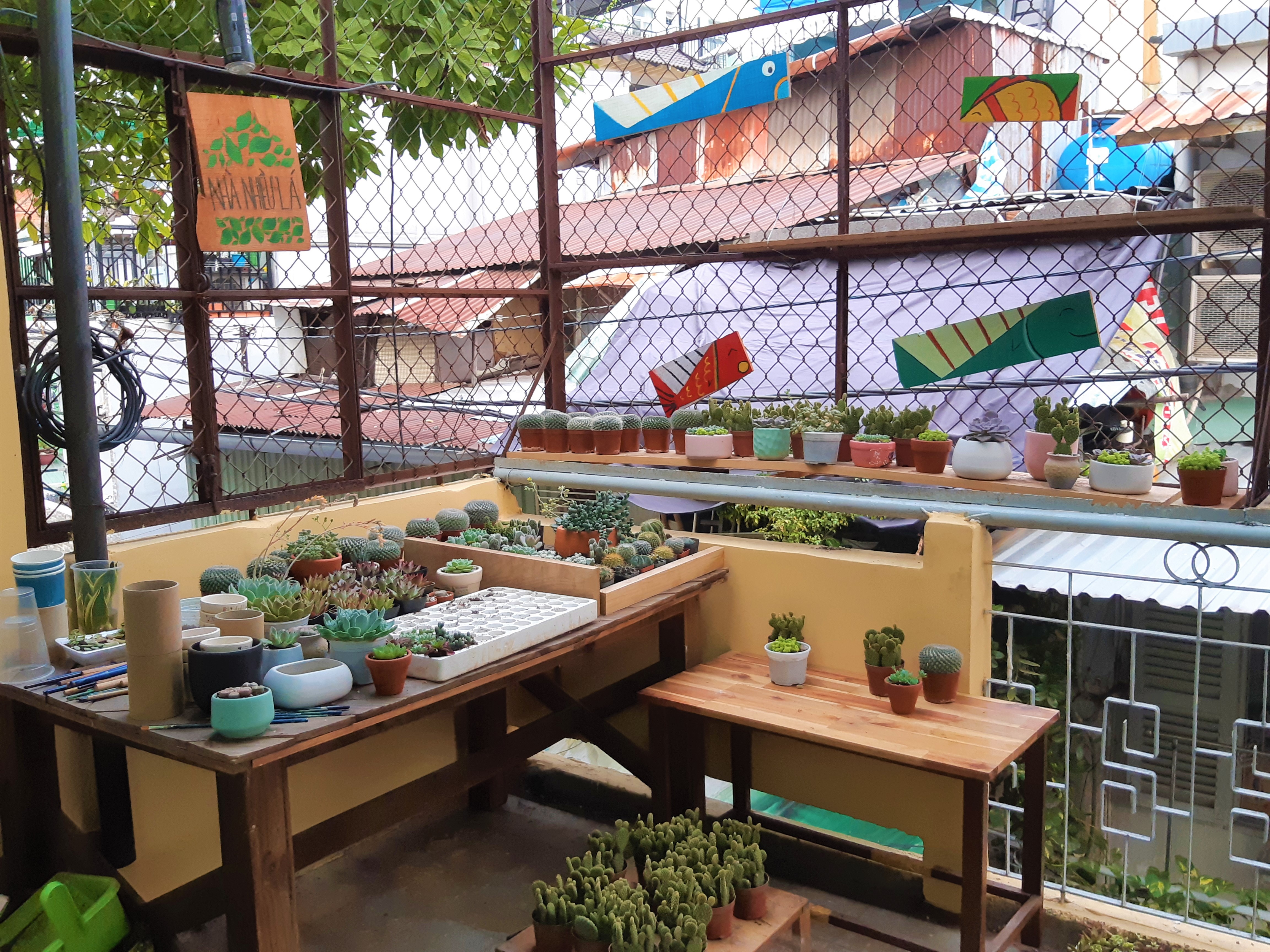 hoàng quý bình ảnh 6 hoang quy binh anh 6