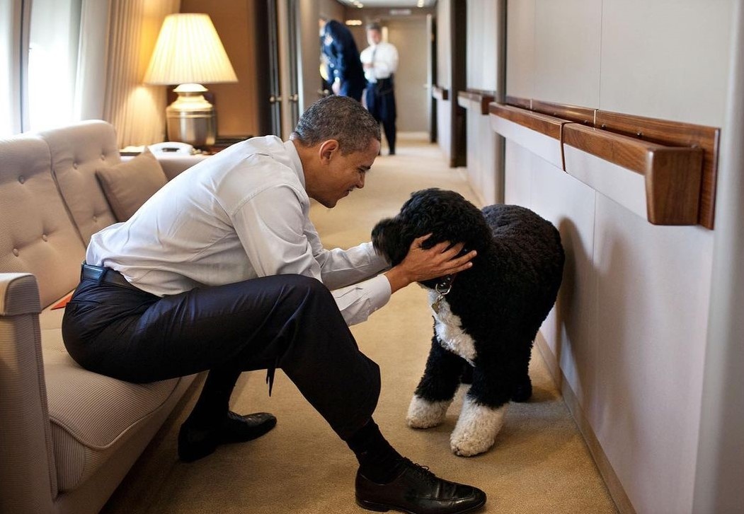 nhiep anh gia Tong thong anh 5