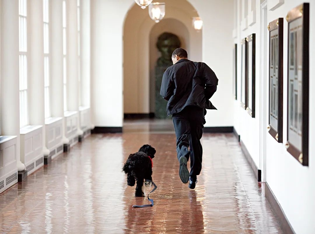 nhiep anh gia Tong thong anh 9