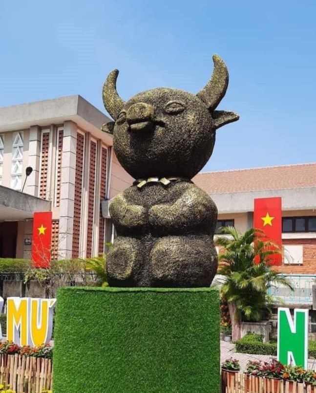 trâu vàng ảnh 2 trau vang anh 2