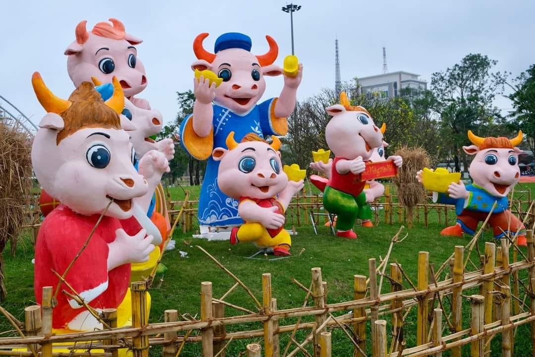 trâu vàng ảnh 6 trau vang anh 6