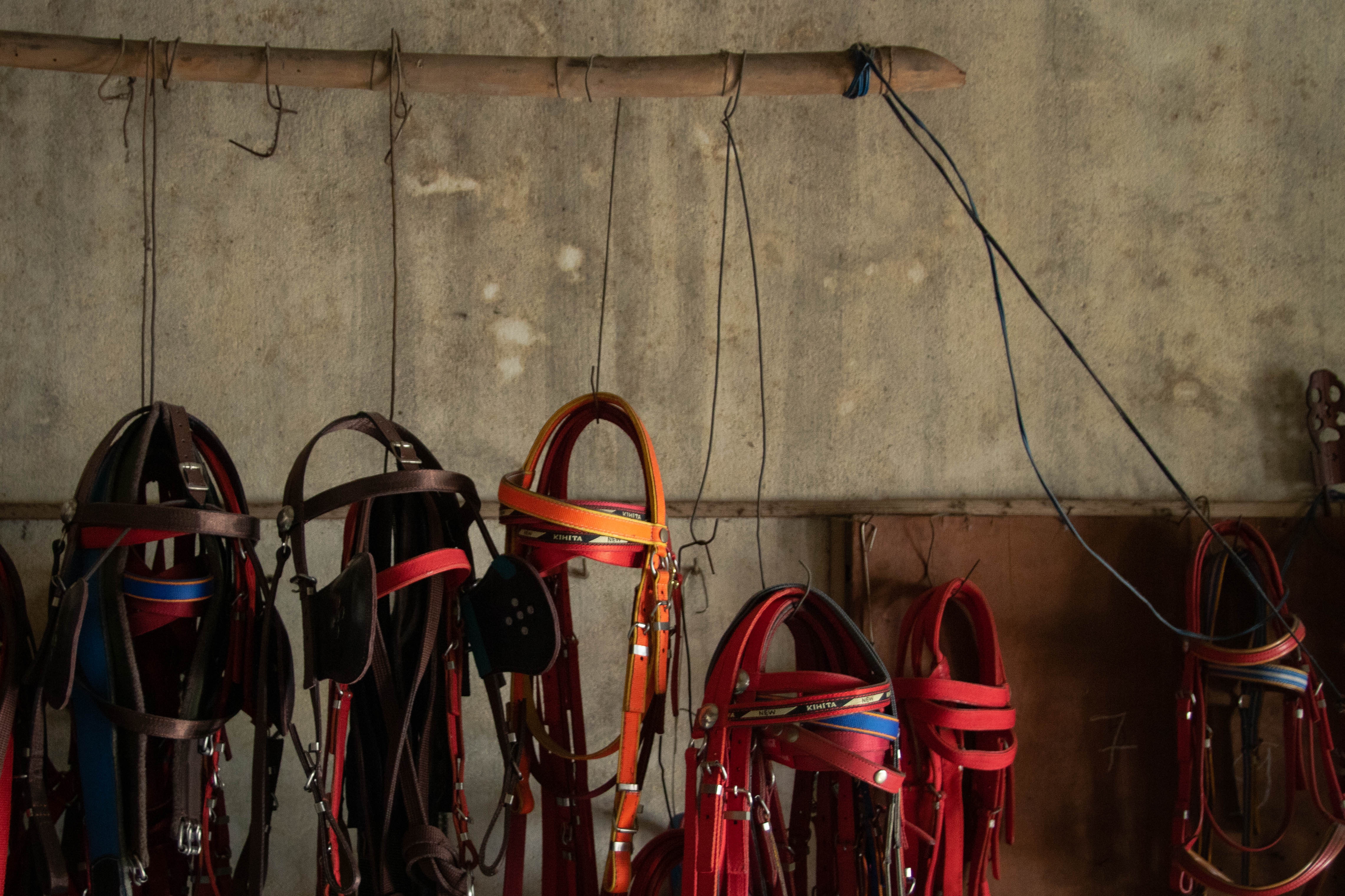 thợ làm yên ngựa ảnh 10 tho lam yen ngua anh 10