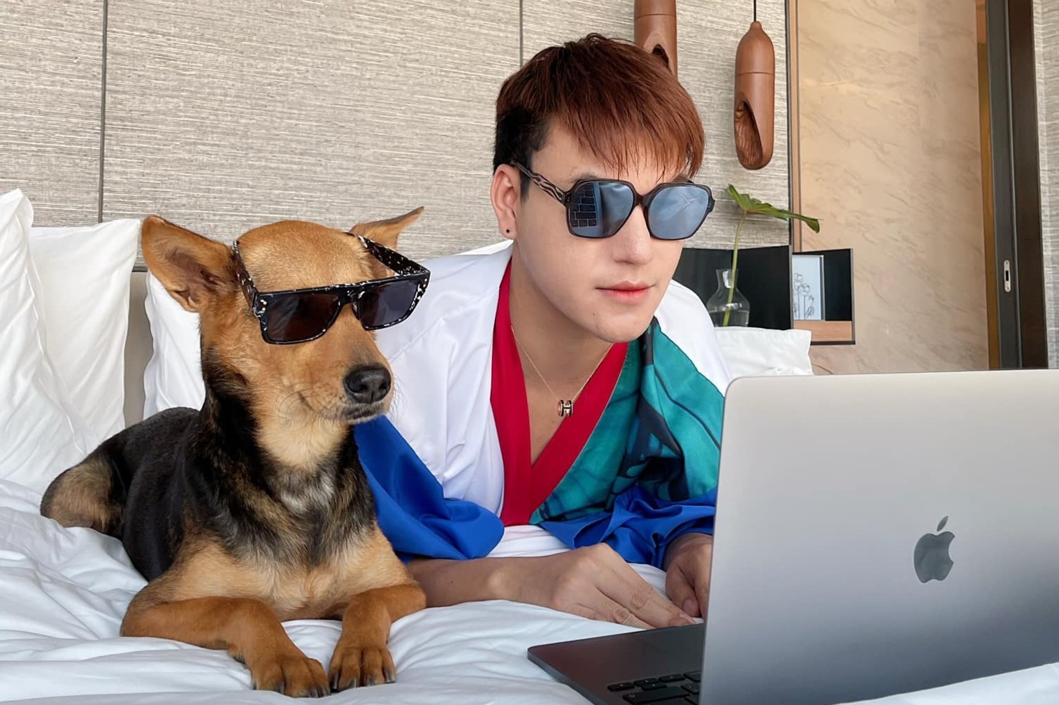 Chu cho Thai Lan doi doi khi bi nguoi say ruou bat nham hinh anh