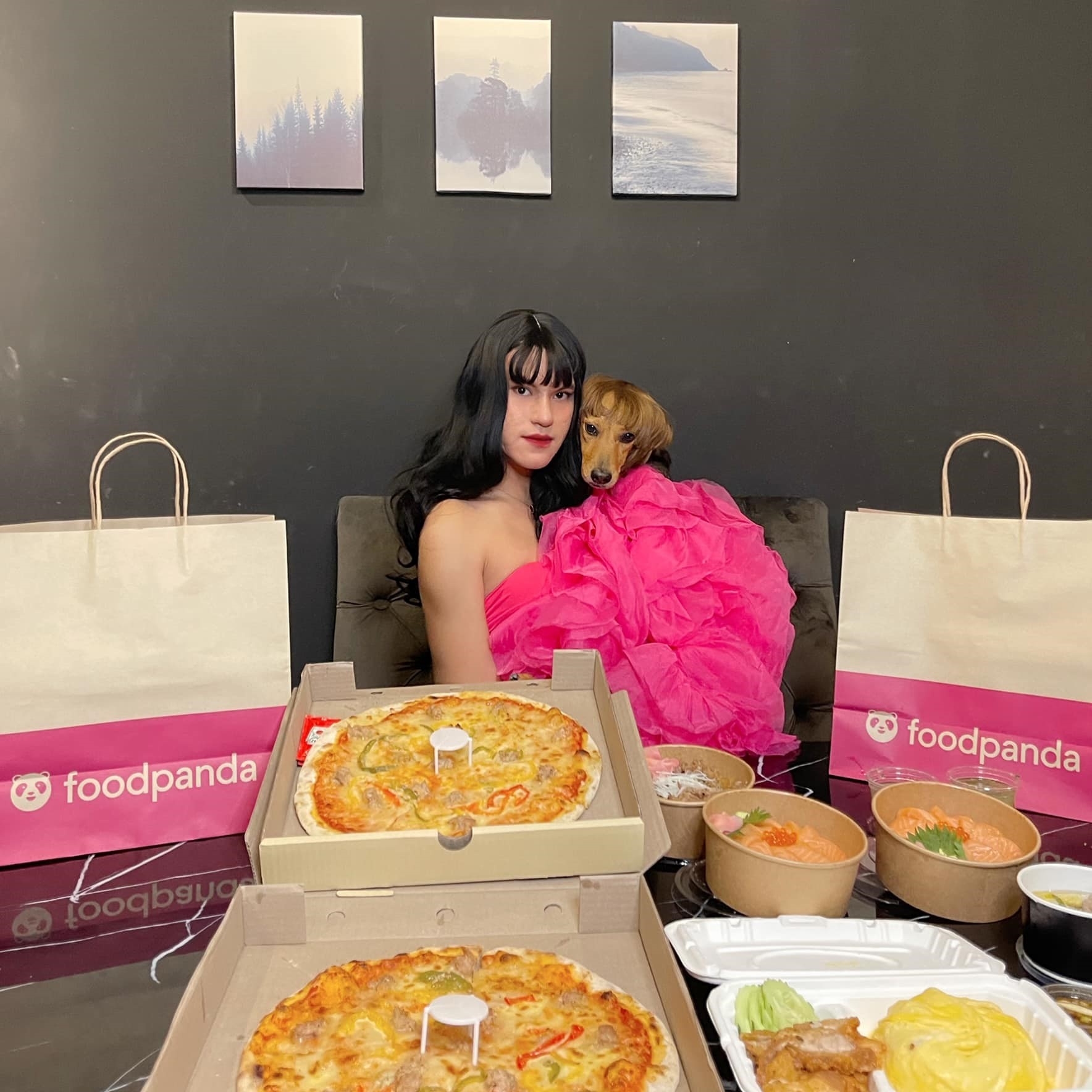 chú chó nổi tiếng ảnh 9 chu cho noi tieng anh 9