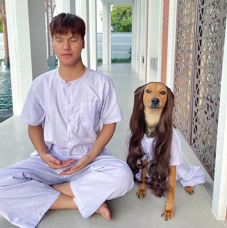 chu cho noi tieng anh 6