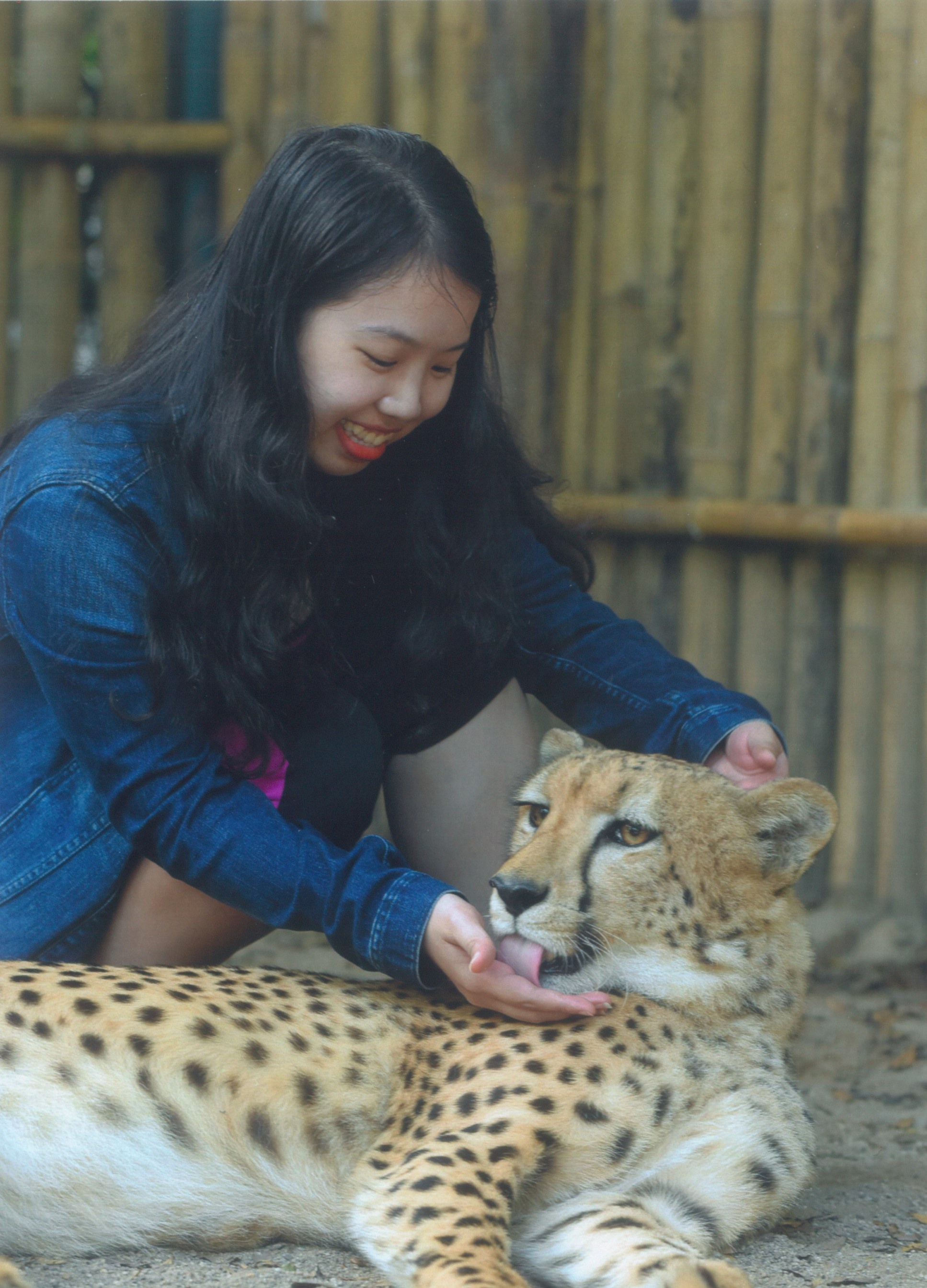 vợ chồng đi du lịch ảnh 5 vo chong di du lich anh 5