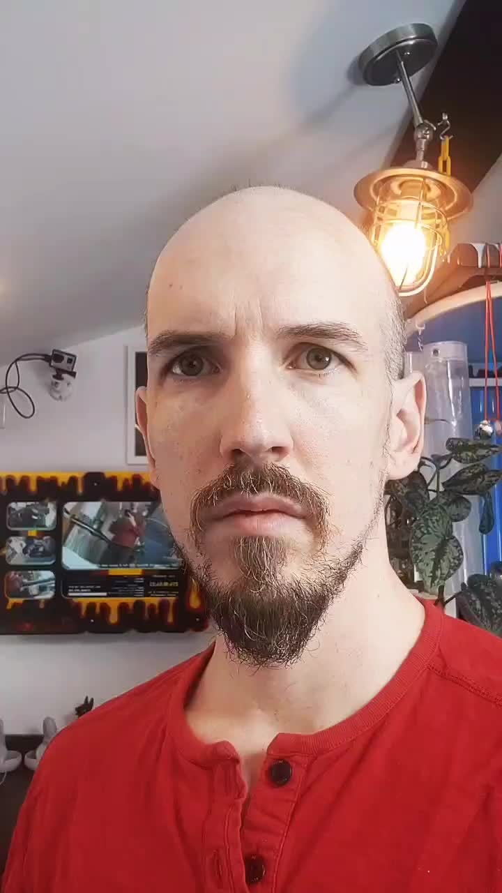 livestream 100 ngay anh 2