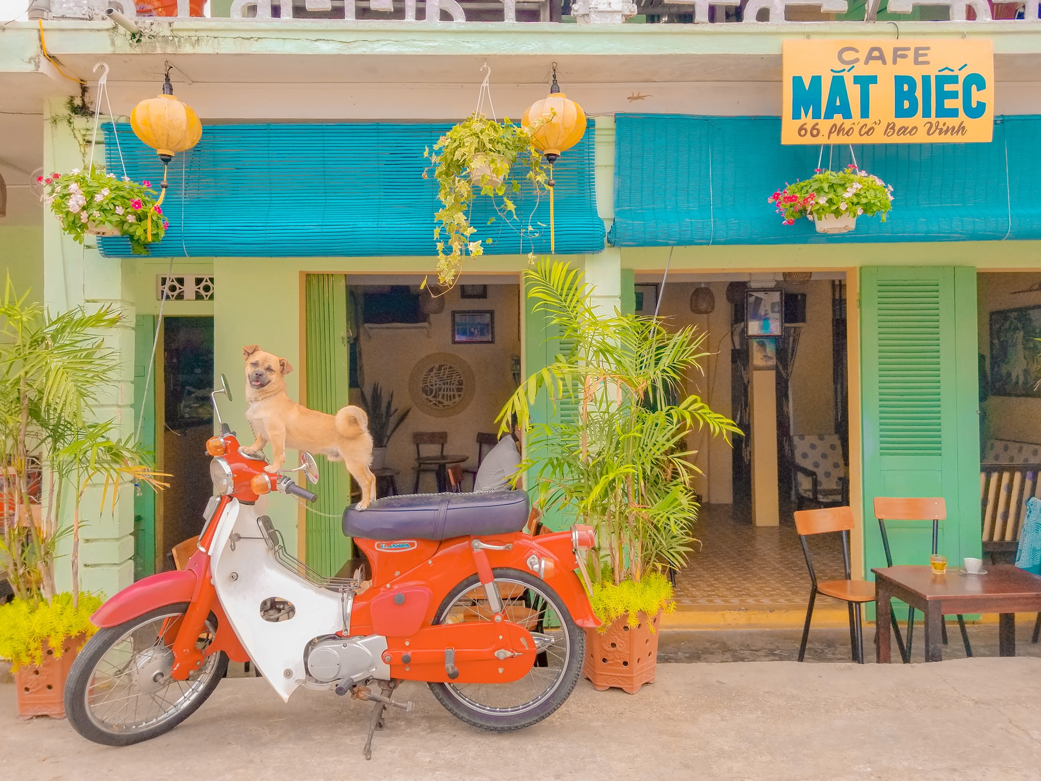 phuot xuyen Viet voi cho anh 5