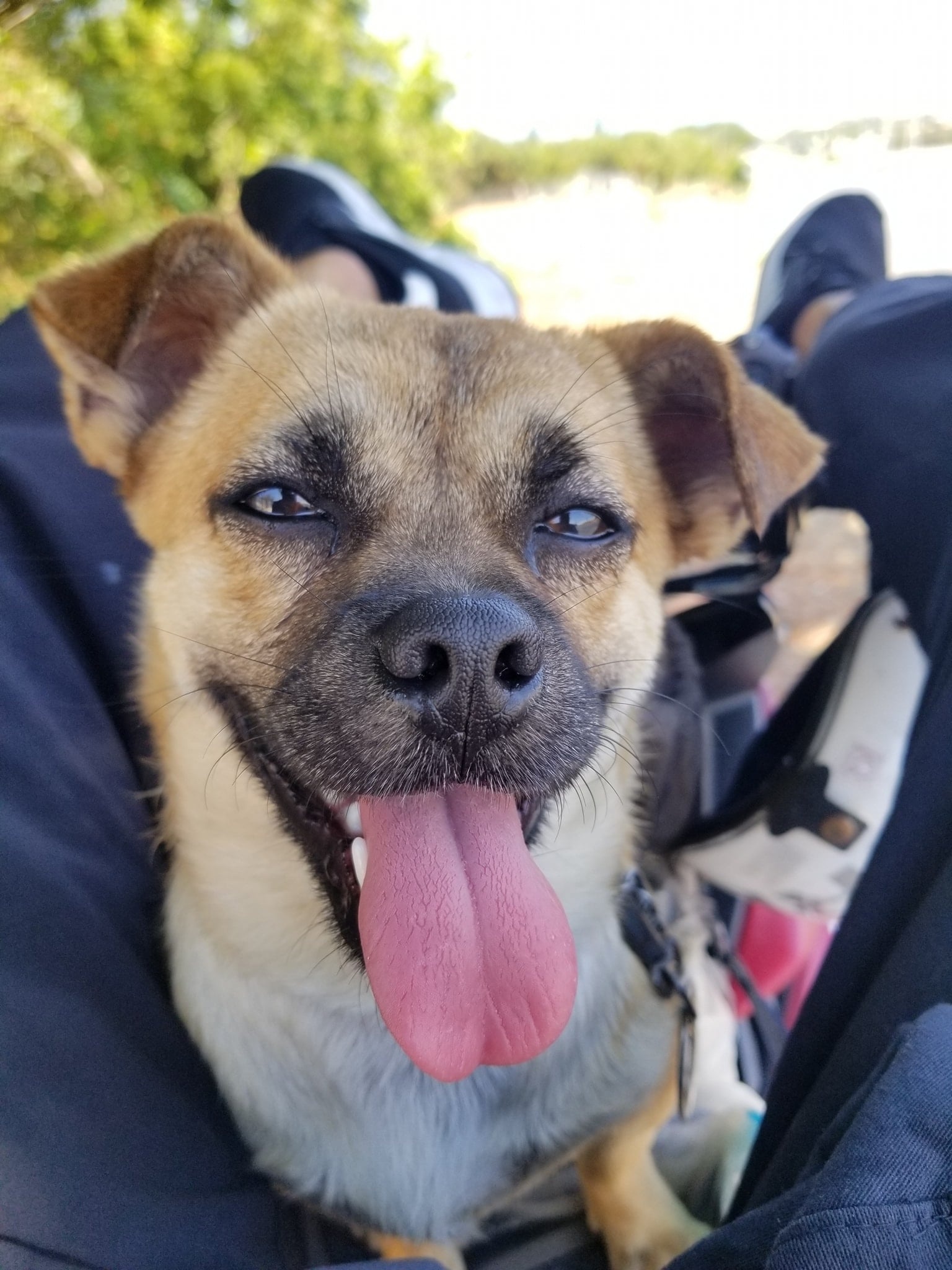 phuot xuyen Viet voi cho anh 7