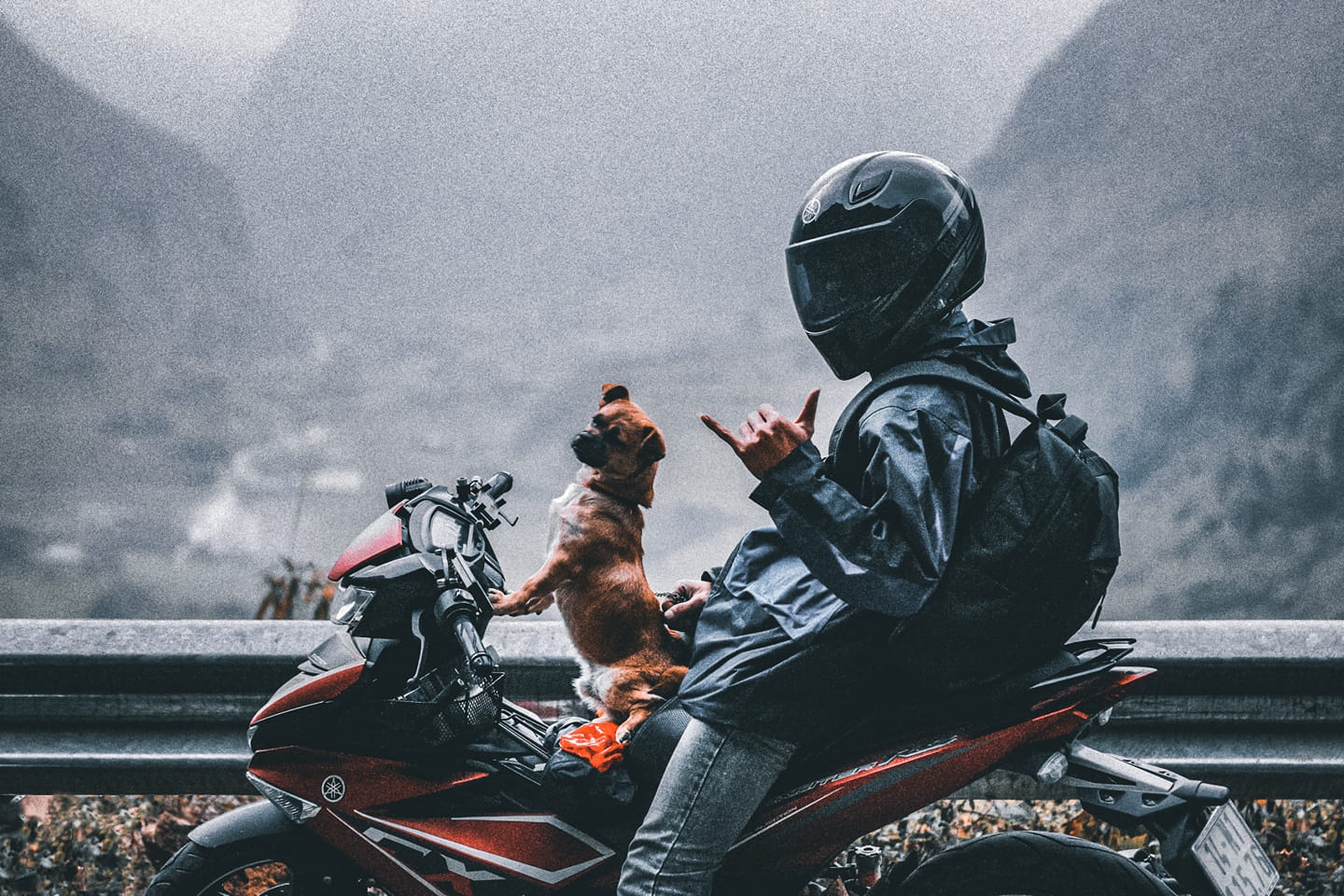 phuot xuyen Viet voi cho anh 1