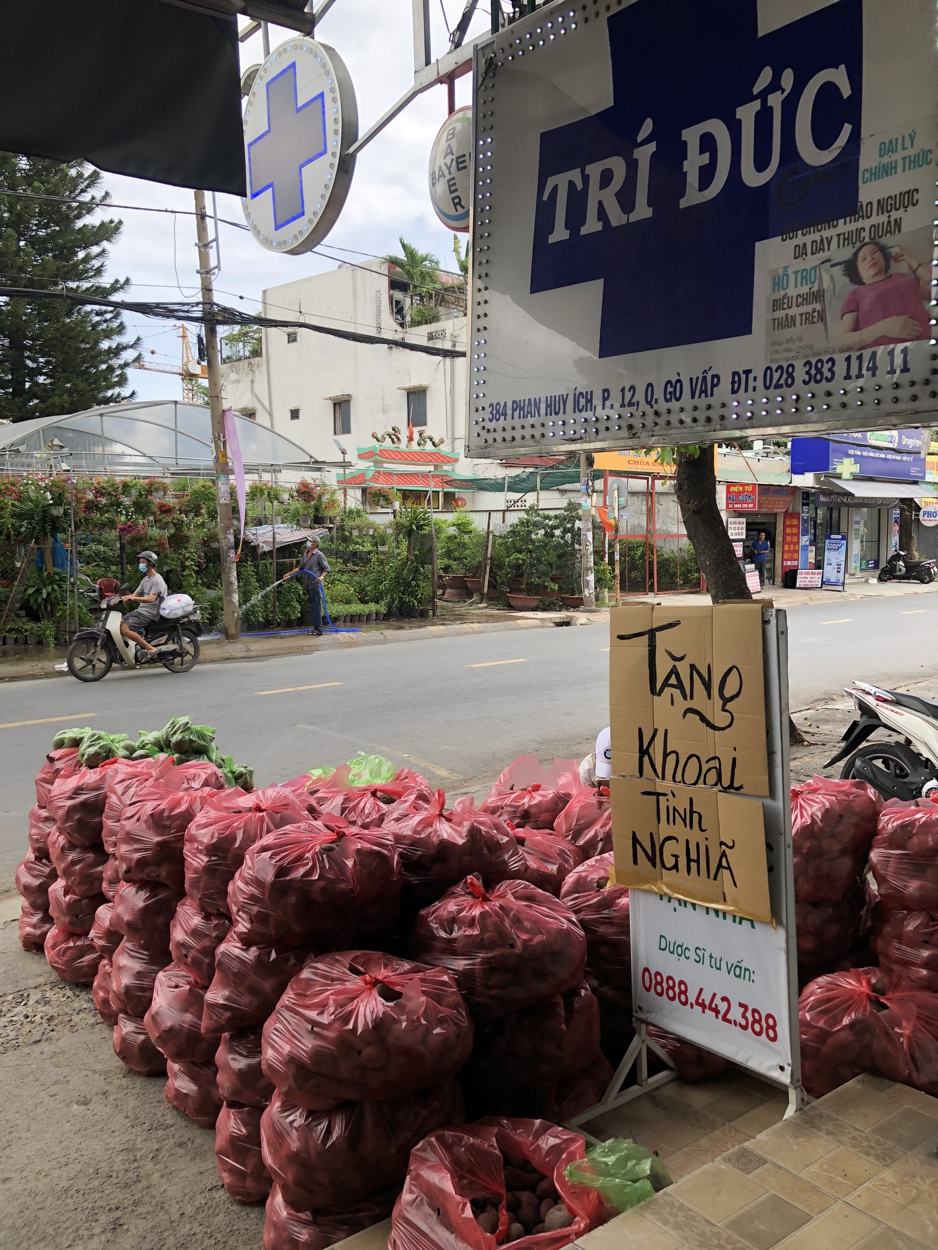 dịch ở Gò Vấp ảnh 7 dich o Go Vap anh 7