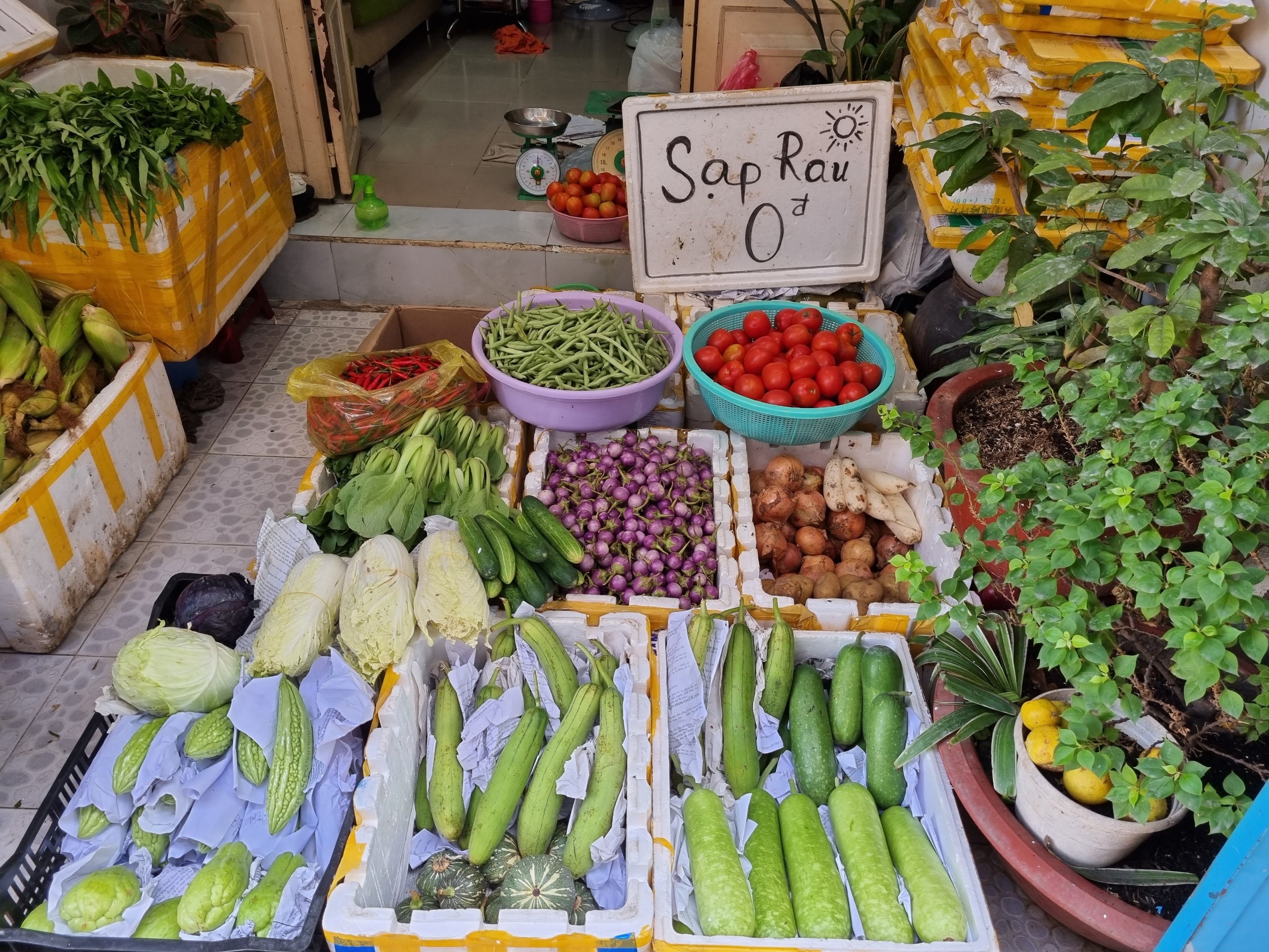 sạp rau 0 đồng của bác sĩ ảnh 5 sap rau 0 dong cua bac si anh 5