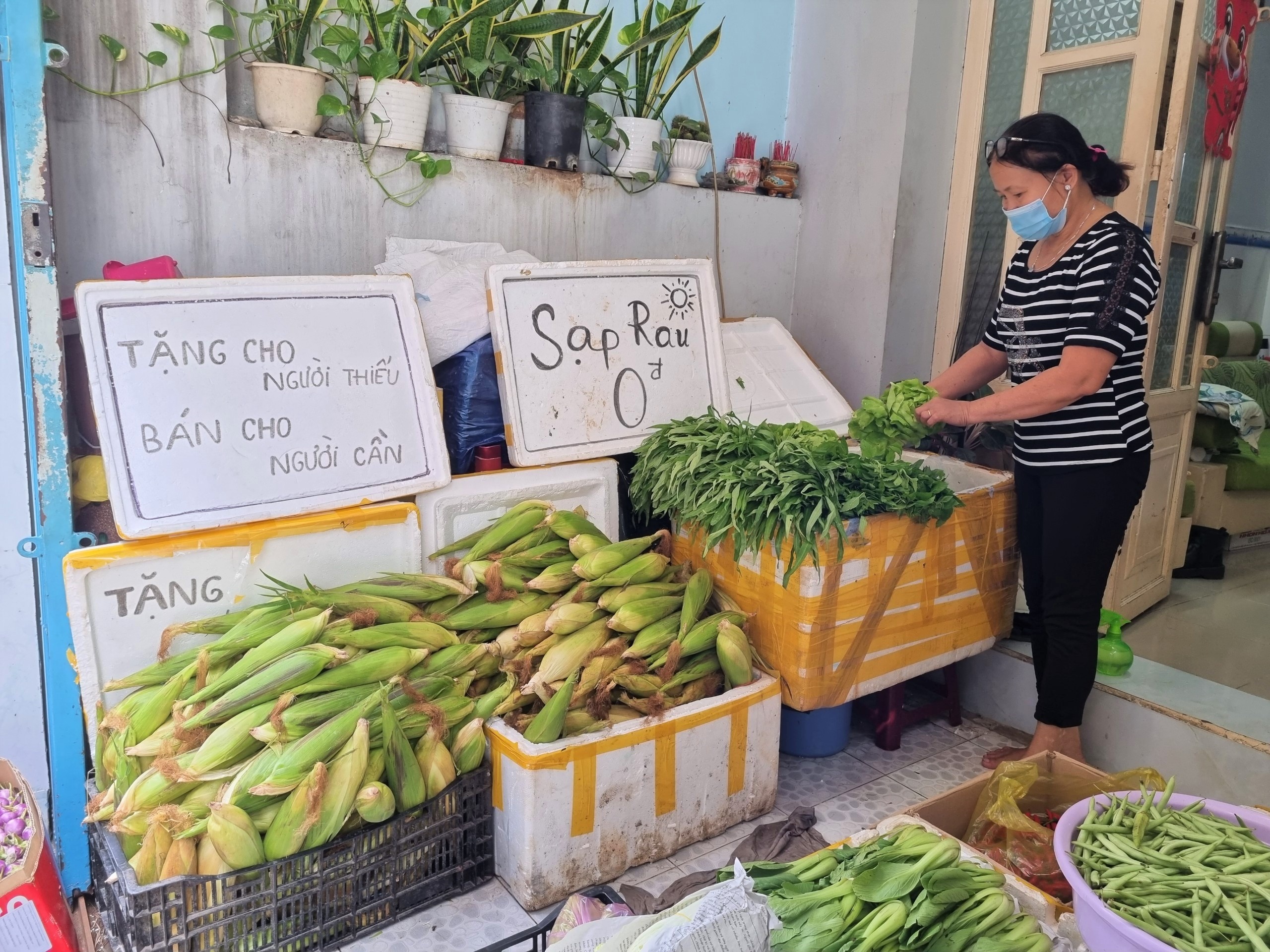 sạp rau 0 đồng của bác sĩ ảnh 4 sap rau 0 dong cua bac si anh 4