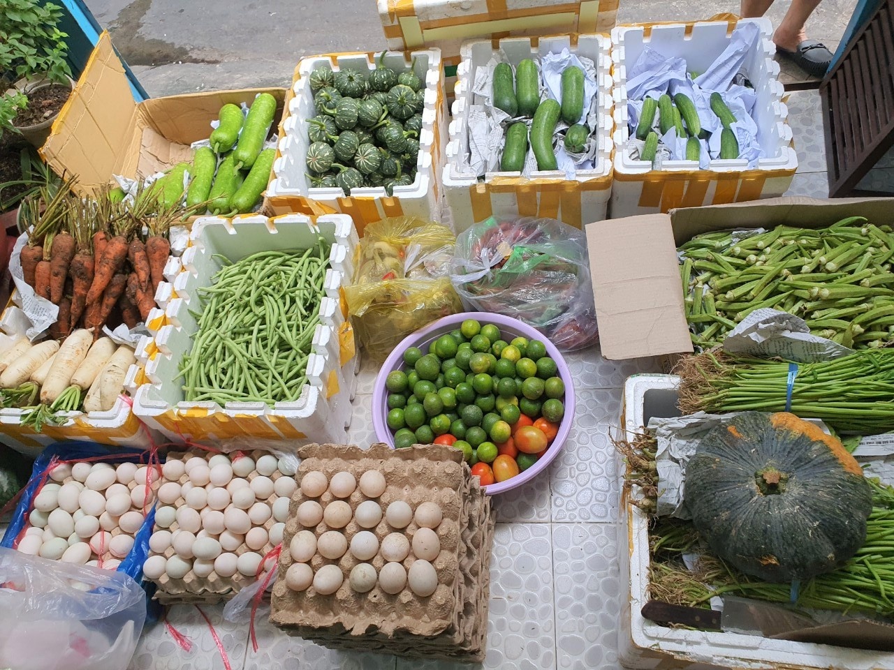 sạp rau 0 đồng của bác sĩ ảnh 6 sap rau 0 dong cua bac si anh 6