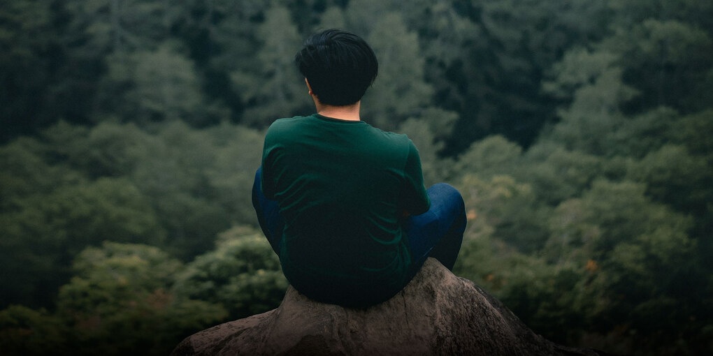 tim con that lac anh 1