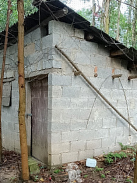 tim con that lac anh 2