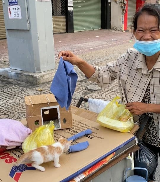 com tu thien mua dich anh 9