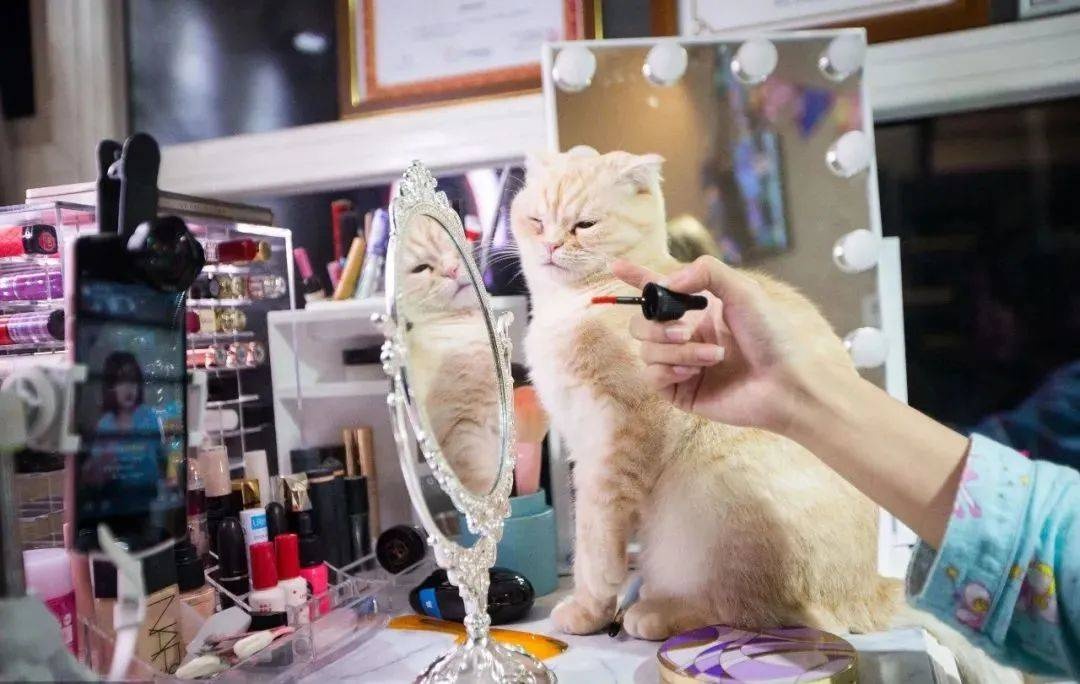 quang cao my pham anh 1