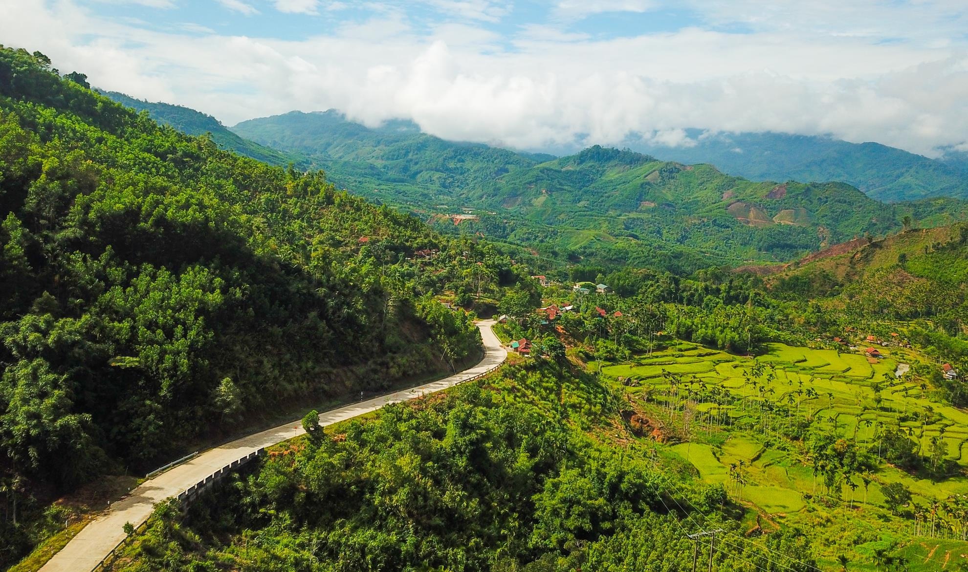 Olympia dua sai thong tin anh 1