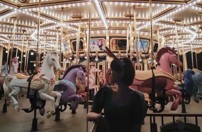 thuê xe lăn trong khu vui chơi ảnh 3 thue xe lan trong khu vui choi anh 3