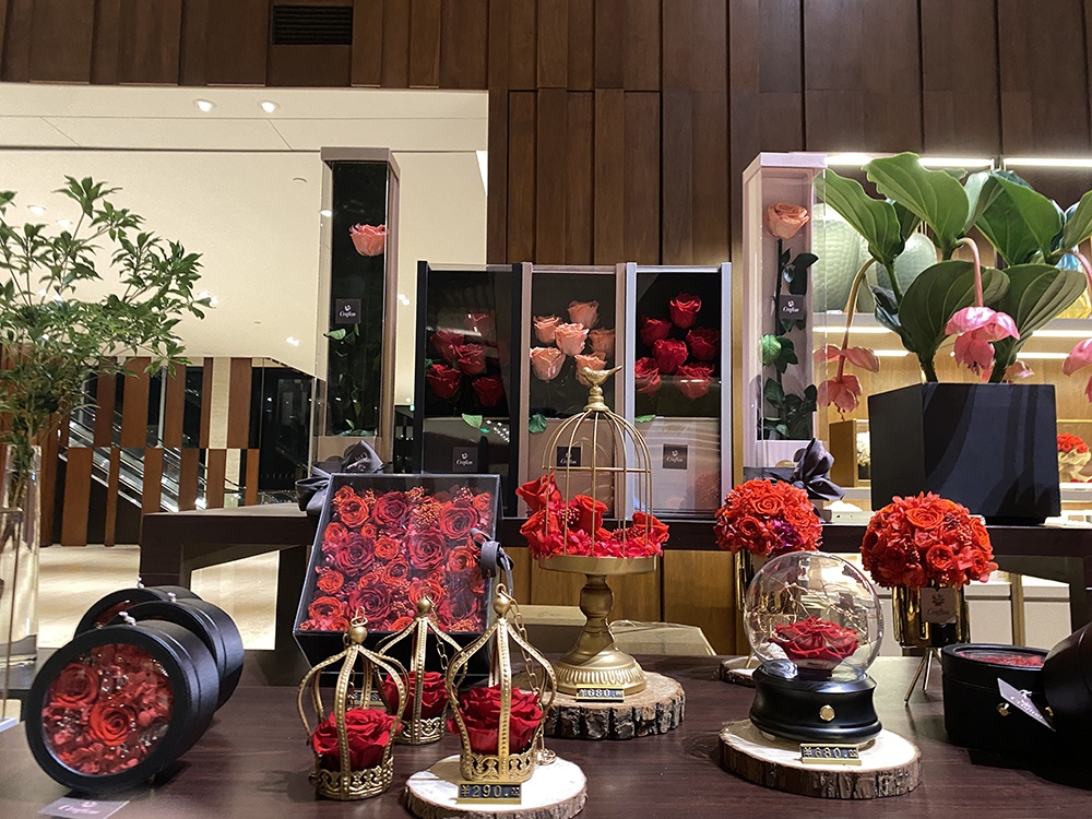 giả làm người giàu có ảnh 4 gia lam nguoi giau co anh 4