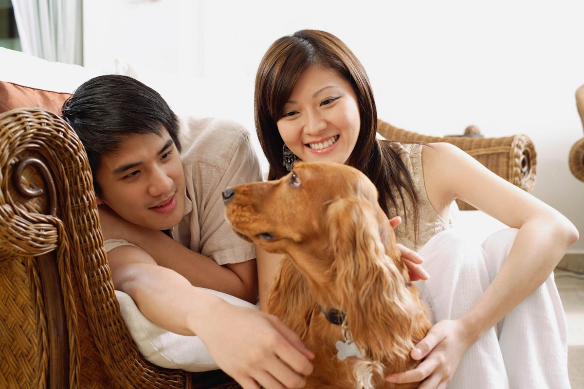 không sinh con ảnh 1 khong sinh con anh 1