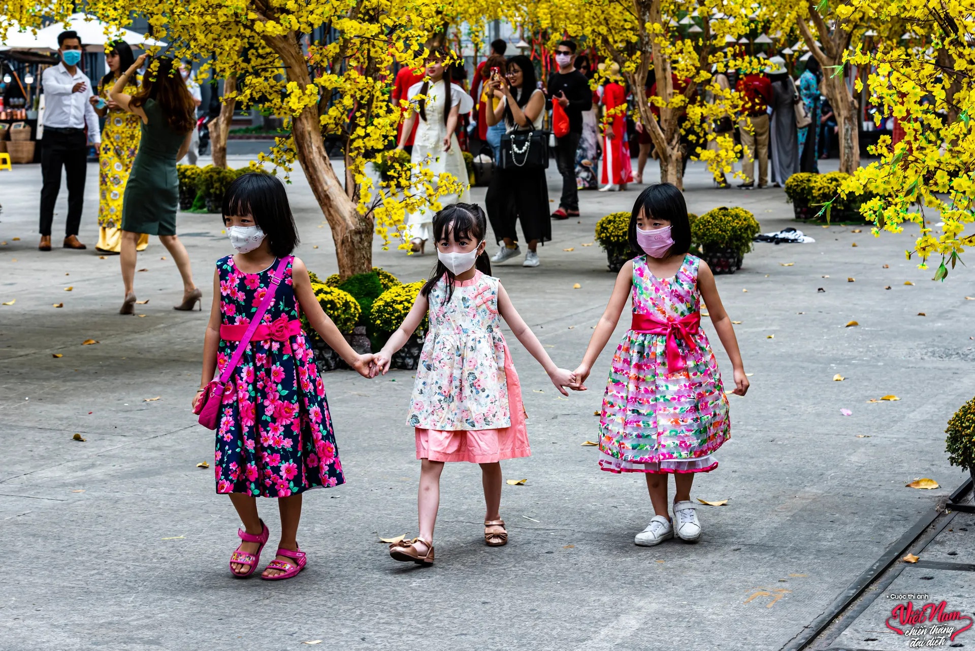 Viet Nam chien thang dai dich anh 6