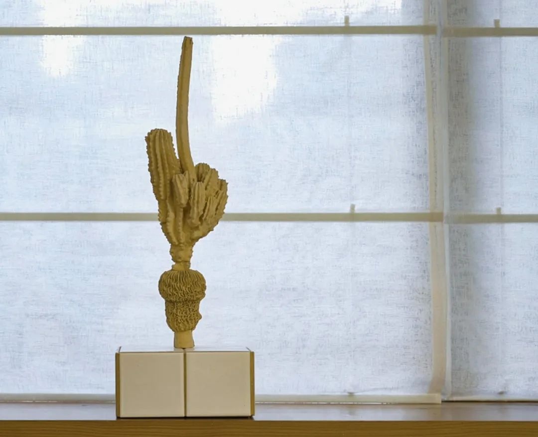 vợ chồng ở nhà thuê ảnh 9 vo chong o nha thue anh 9