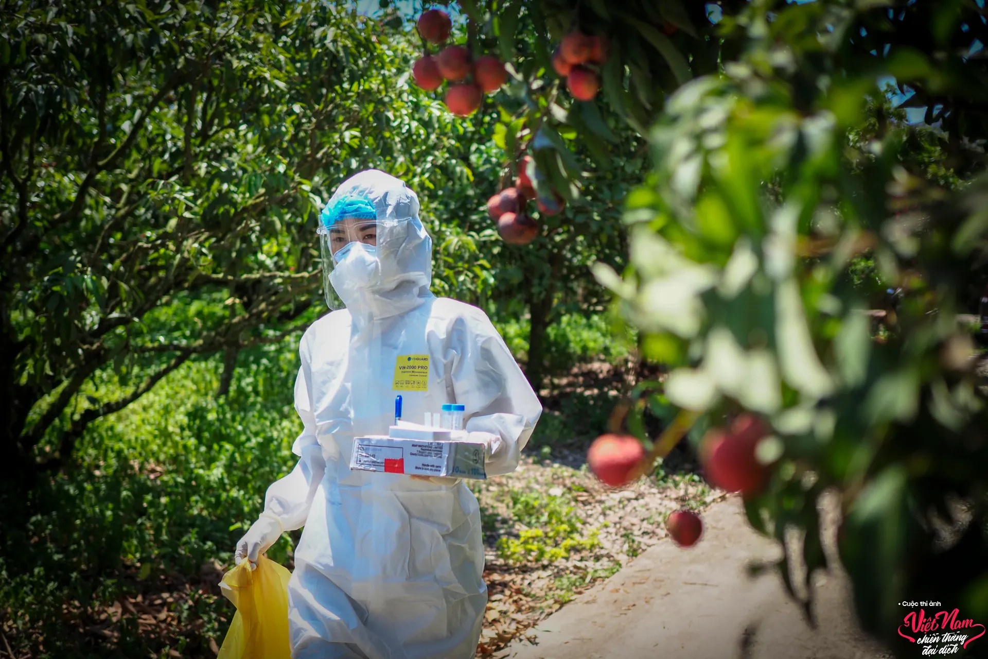 Viet Nam chien thang dai dich anh 6