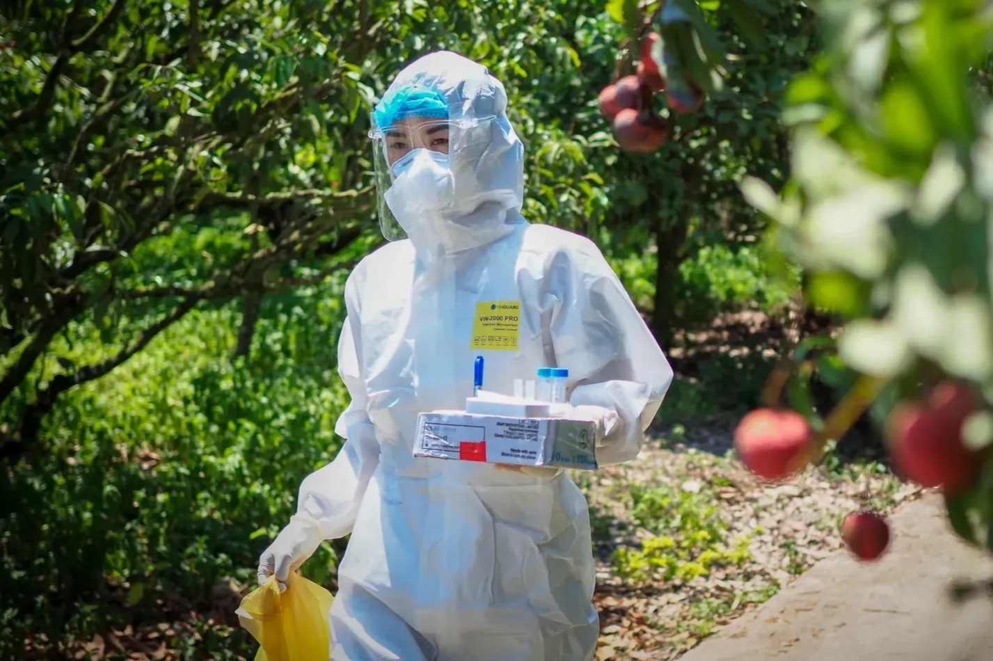 Nhung bong hong noi tuyen dau chong dich hinh anh