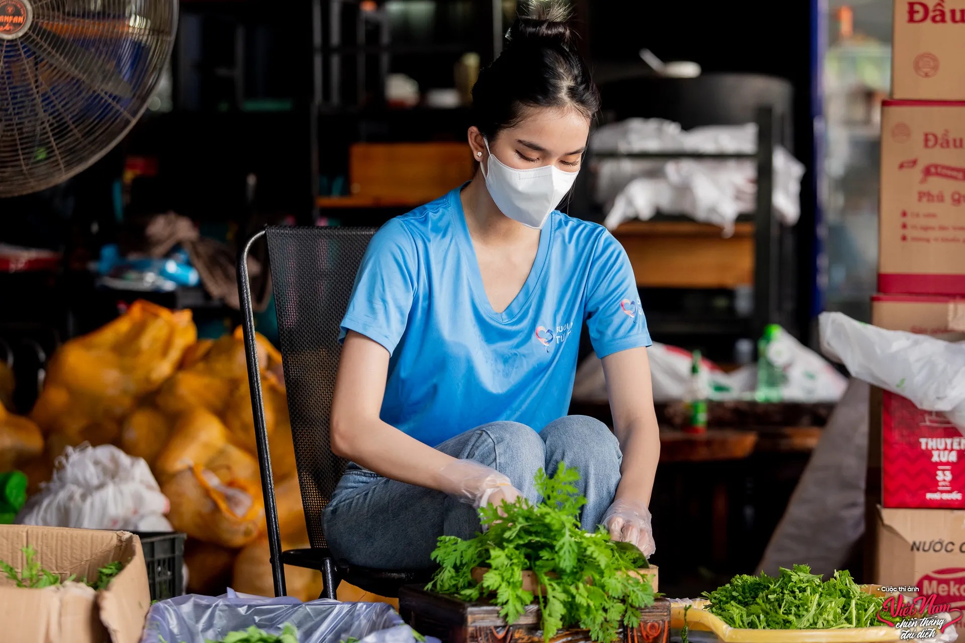 Viet nam chien thang dai dich anh 3