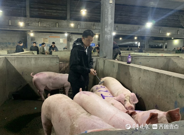 cu nhan ban thit lon o trung quoc anh 2