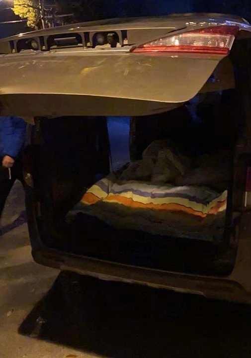 phong toa thuong hai anh 3