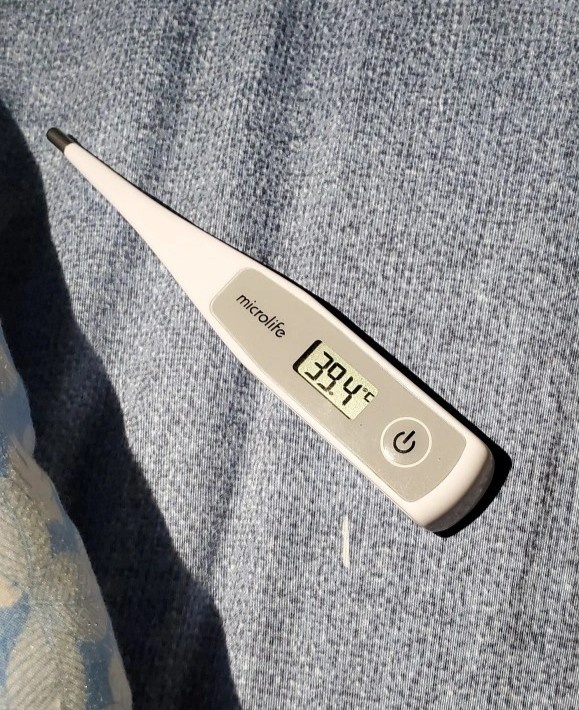 chay deadline truoc le anh 8