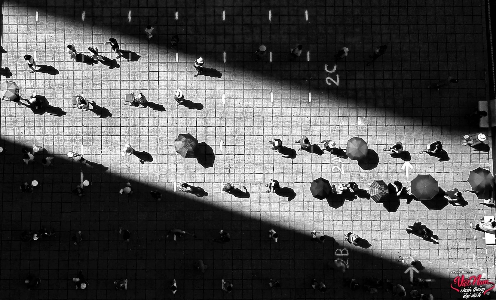 cuoc thi anh Viet Nam chien thang dai dich anh 4