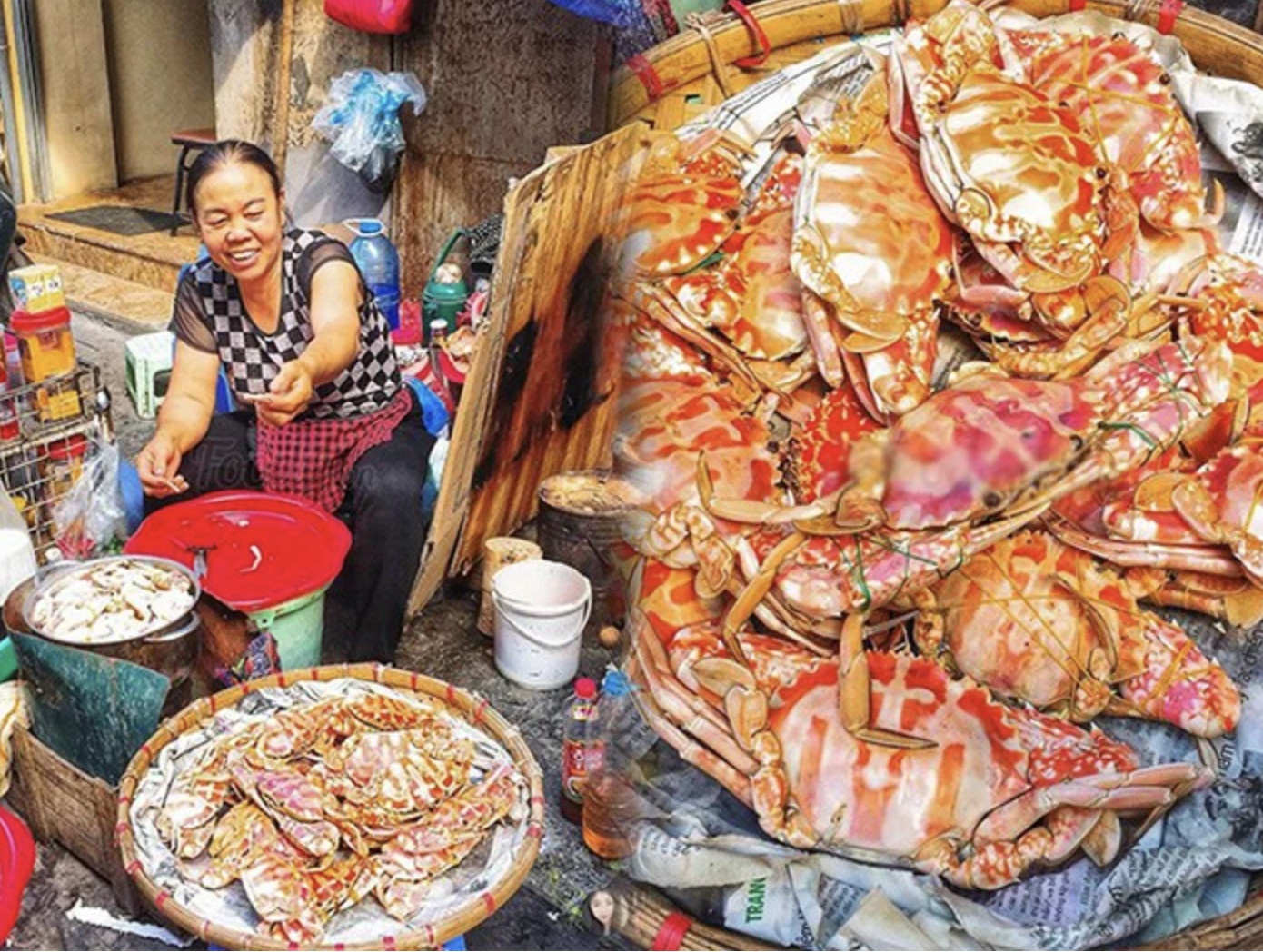 Met ghe cho dan sanh an o khu pho co hinh anh