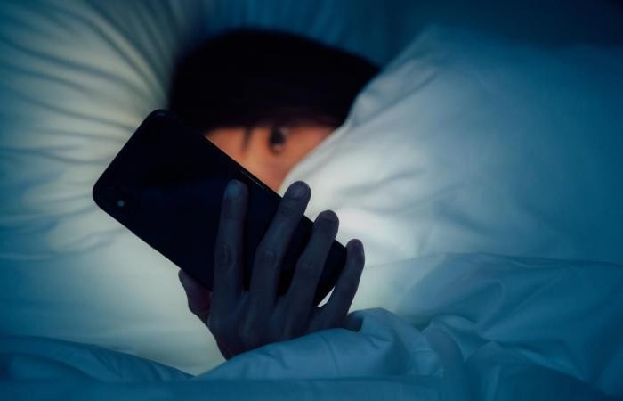 luat chong bat nat truc tuyen cua nhat ban anh 1