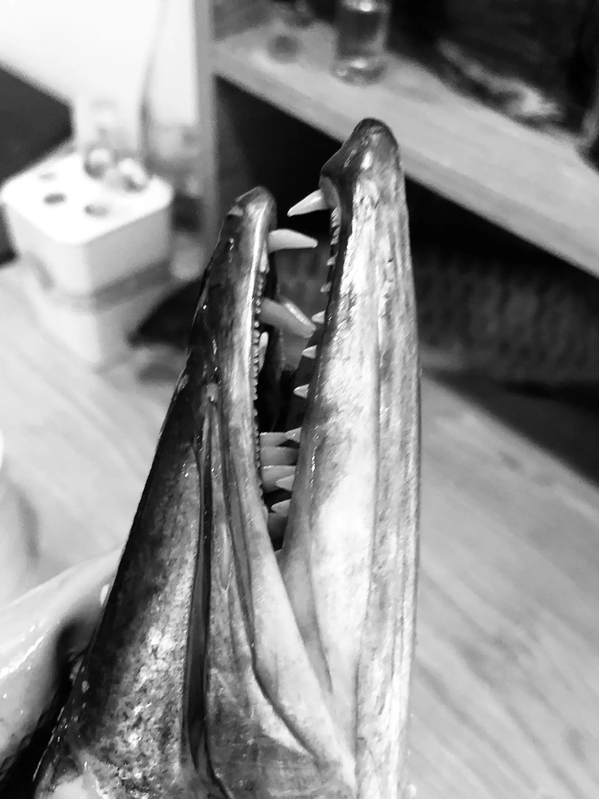 nhuom mau xuong ca anh 4