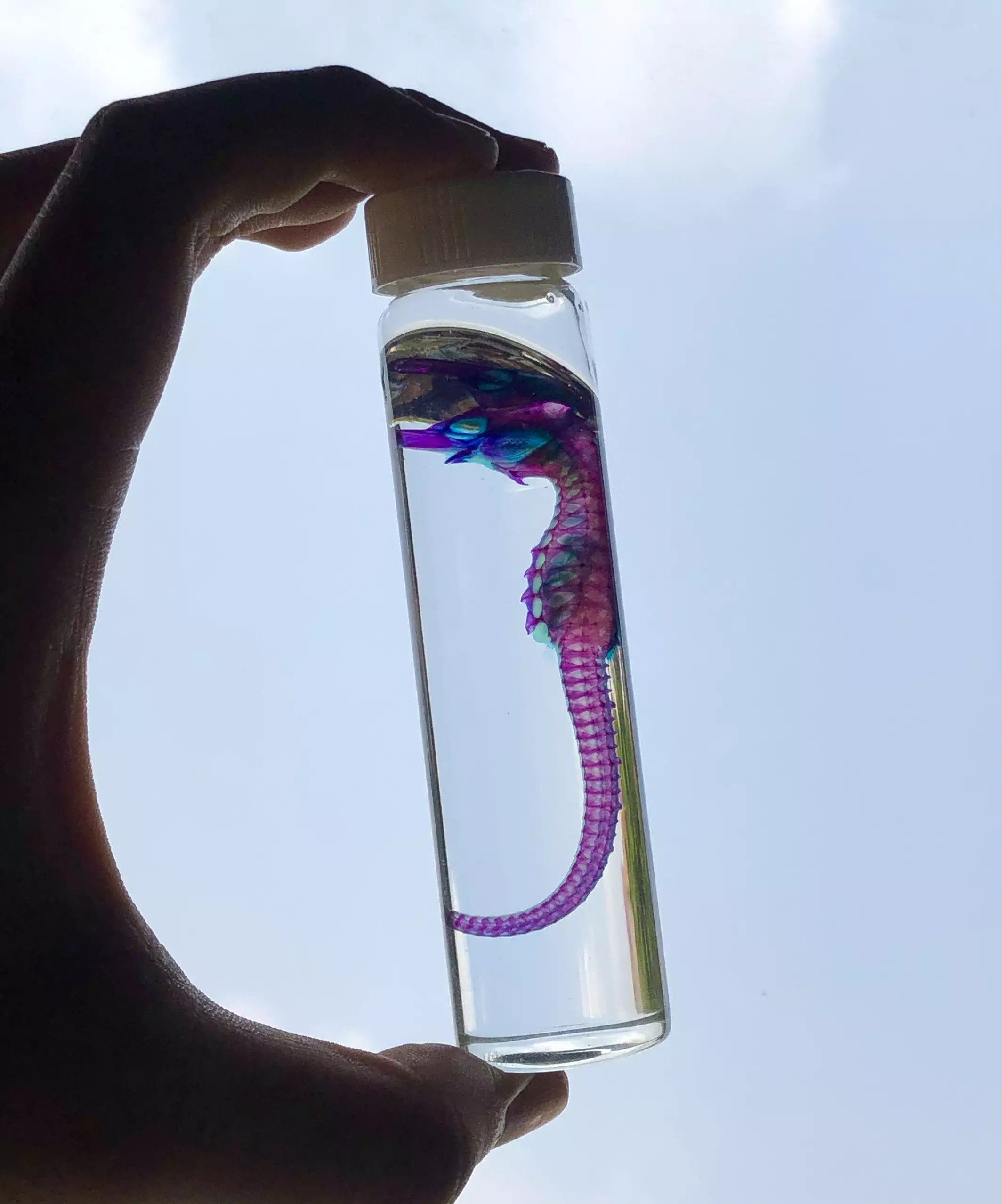 nhuom mau xuong ca anh 6