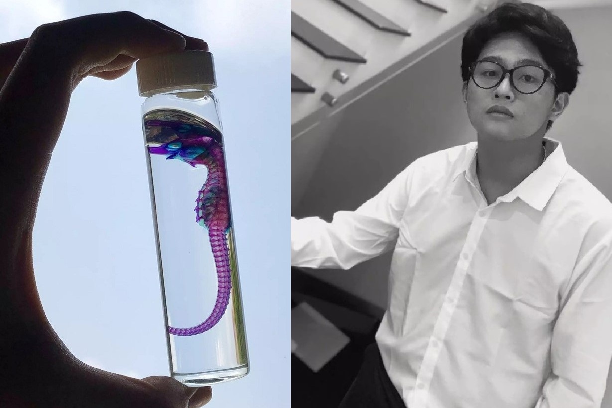 Nam sinh 'tai sinh' dong vat qua hinh hai khac hinh anh