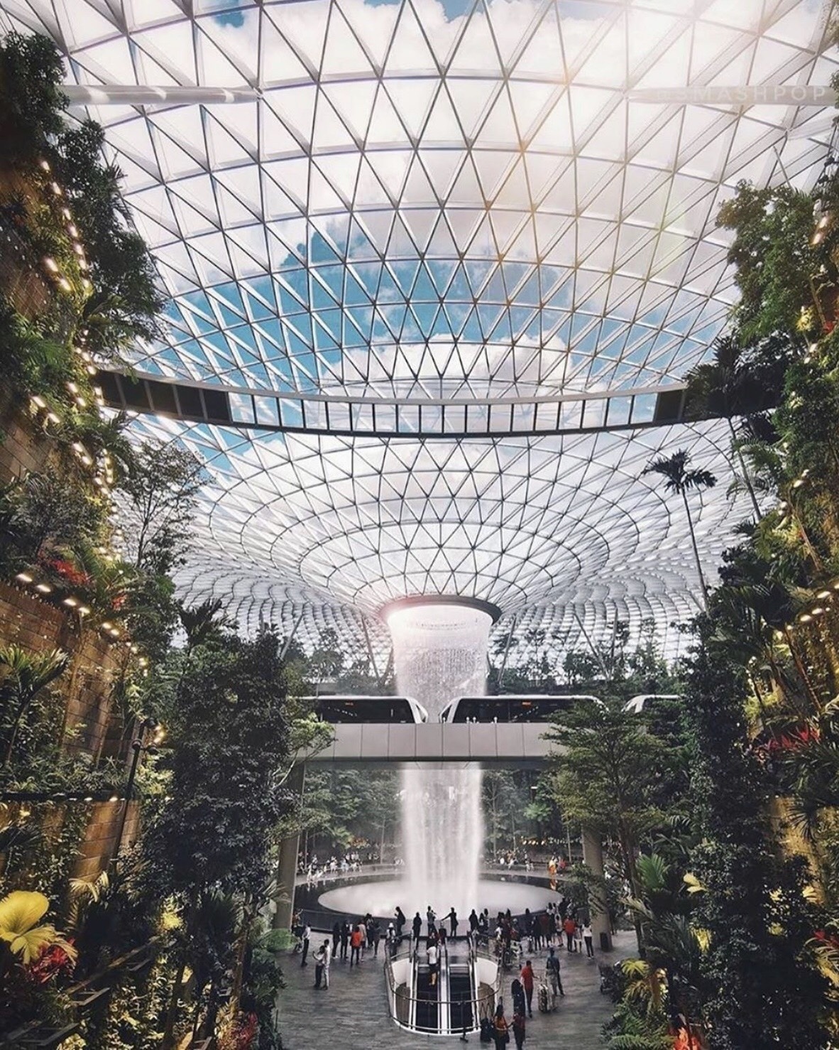 cho doi san bay anh 2