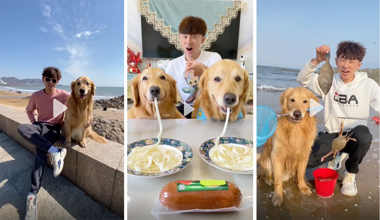 thu cung noi tieng anh 3