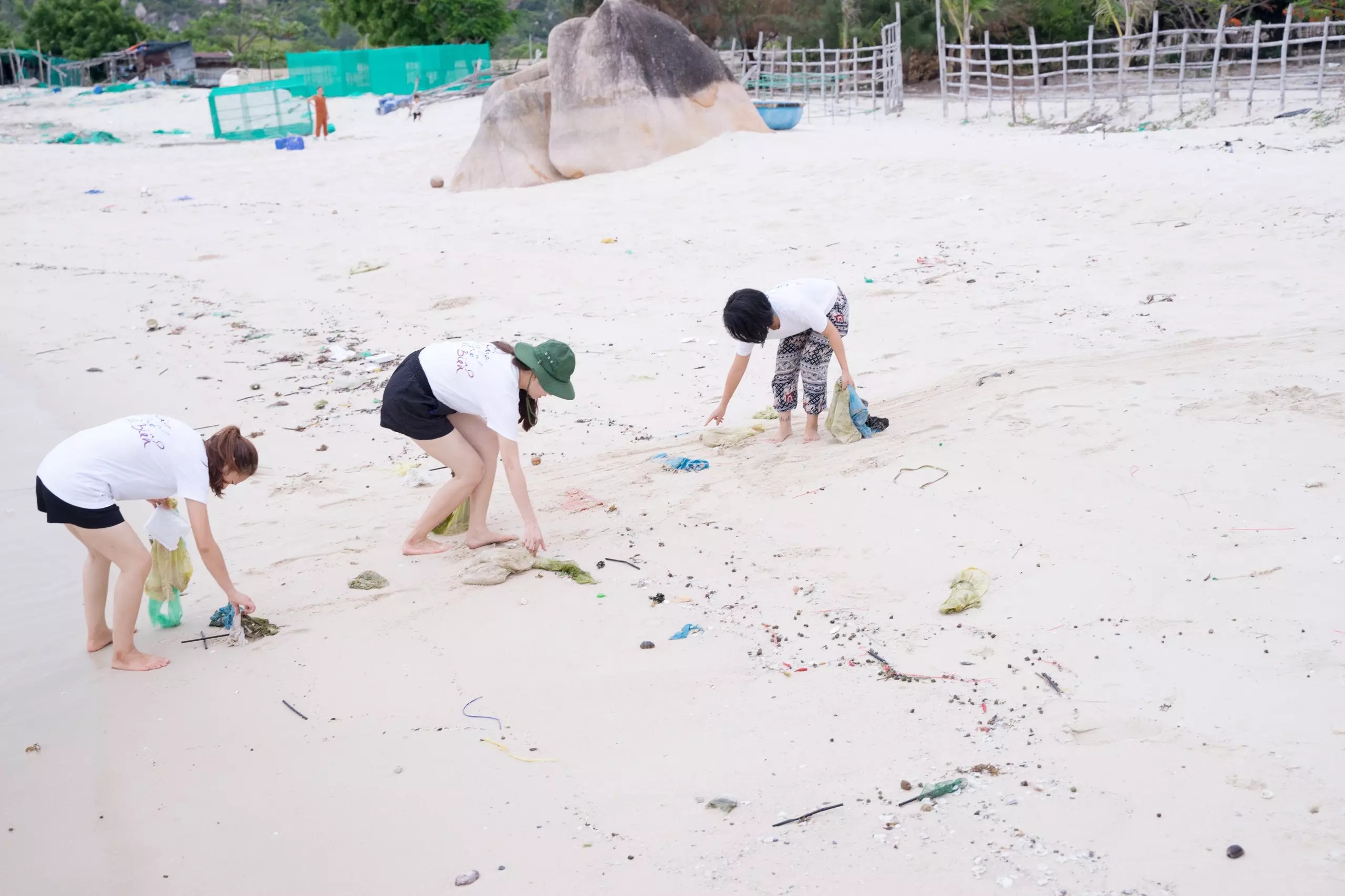 bỏ phố về rừng ảnh 5 bo pho ve rung anh 5