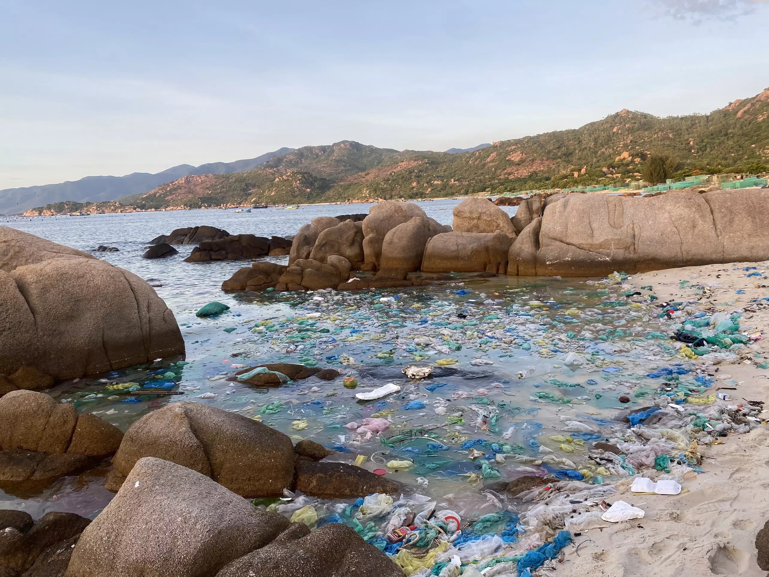 bo pho ve rung anh 3