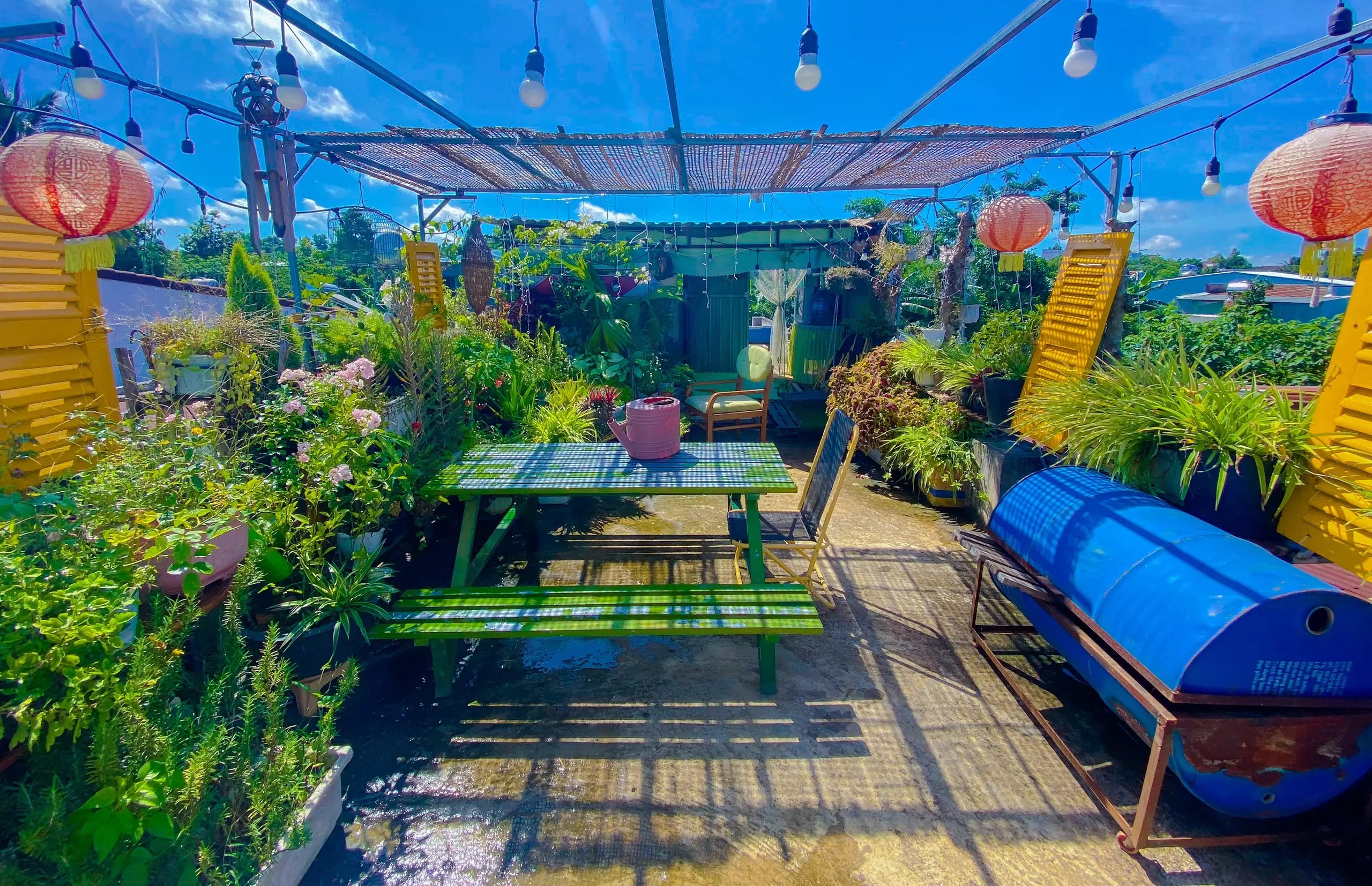 bien san thuong thanh vuon cay anh 1