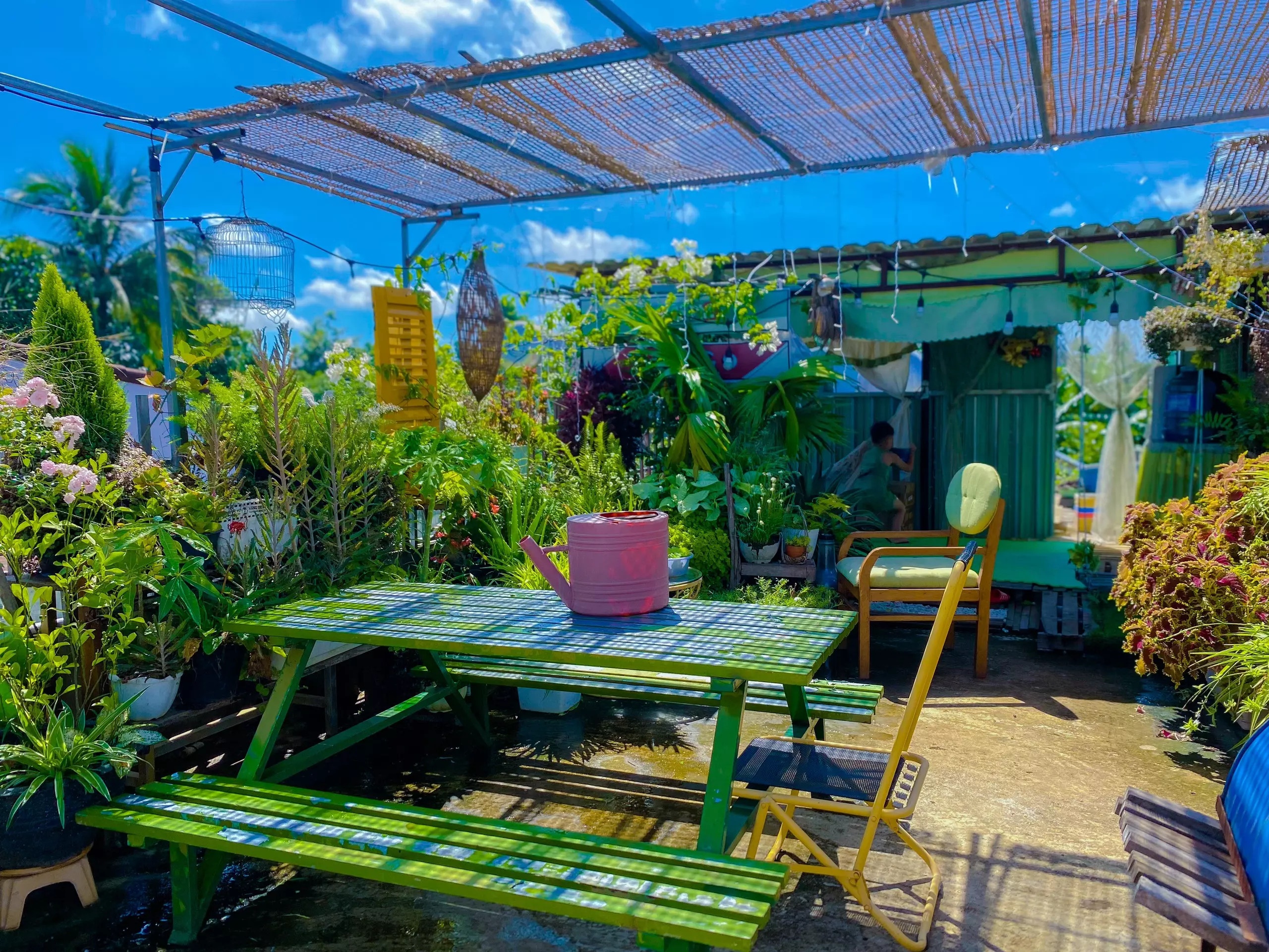 bien san thuong thanh vuon cay anh 4