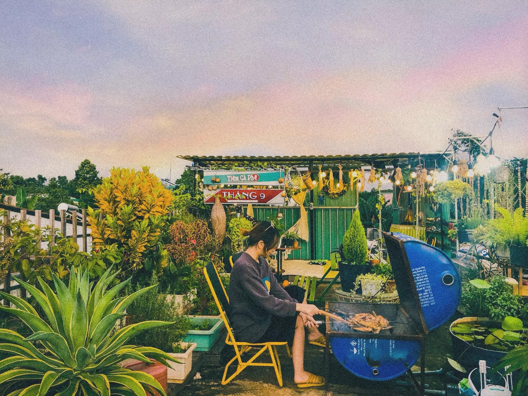 bien san thuong thanh vuon cay anh 3