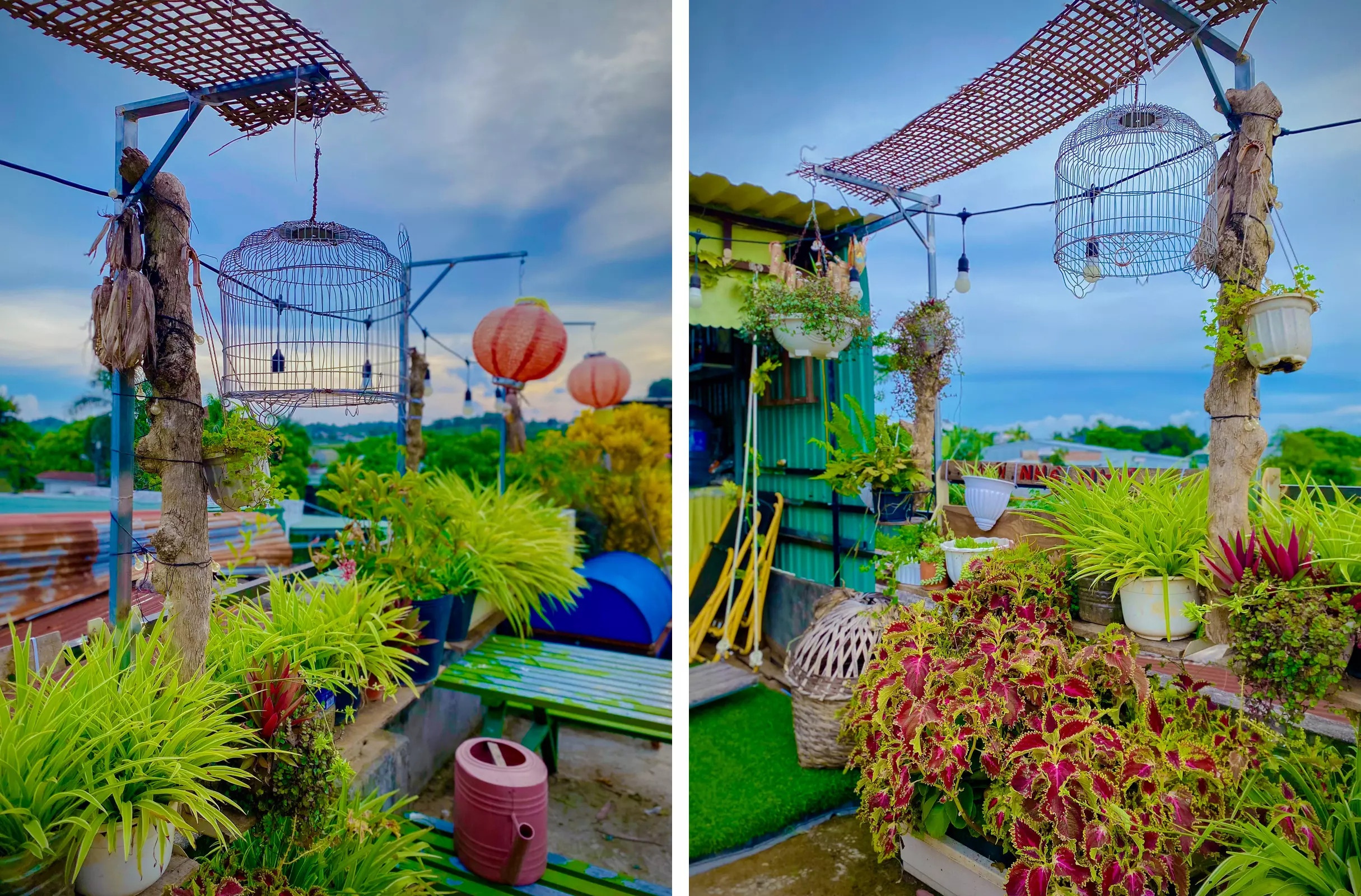 bien san thuong thanh vuon cay anh 6