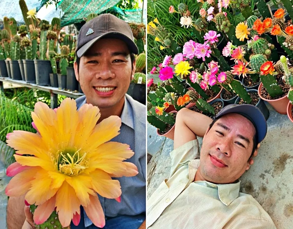 vuon hoa xuong rong lon nhat viet nam anh 2